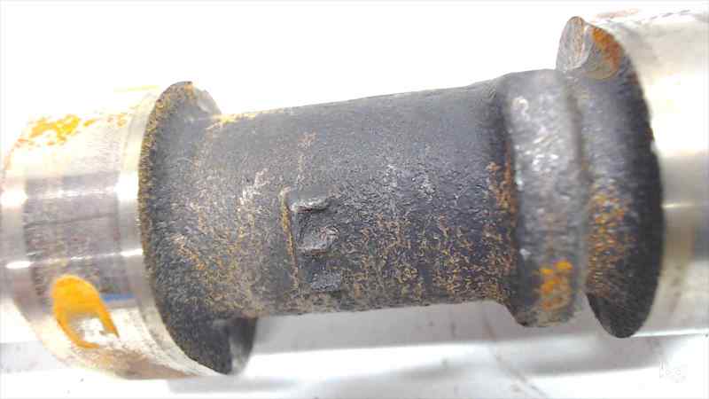 FdomEltw6qle-1.jpg