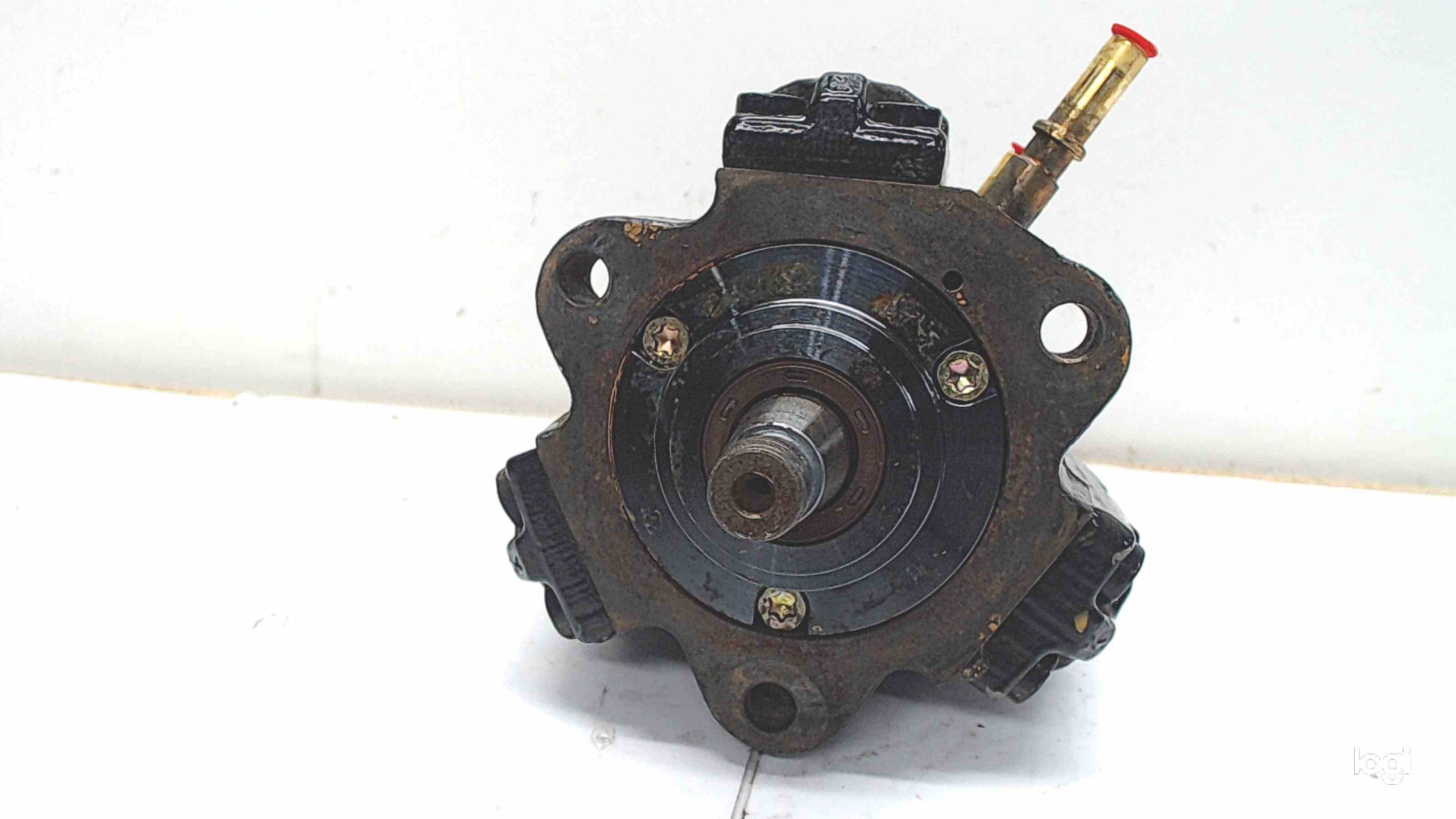 dZv89VFESMBn-1.jpg